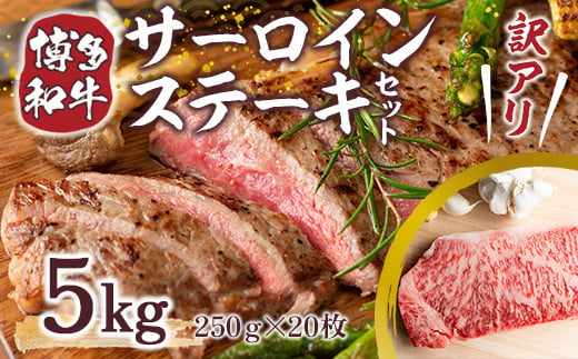 訳アリ!【A4～A5】博多和牛サーロインステーキ　5kg(250g2枚入り×10パック)　AO028 601716 - 福岡県粕屋町