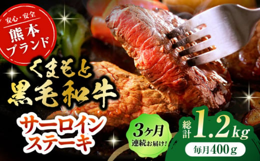 [3回定期便]黒毛和牛サーロイン ステーキ用 約400g(約200g×2枚)[吉里精肉] 