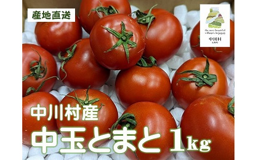 GOKO樹なり甘熟とまと（中玉ABランク品）　約１Kg【金曜日発送】 1338677 - 長野県中川村