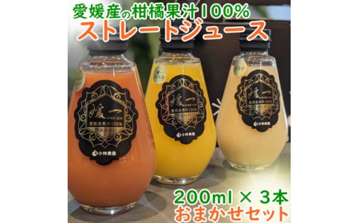 媛一・柑橘果汁100%ストレートジュース・おまかせ3本セット＜A24-29＞【1517898】