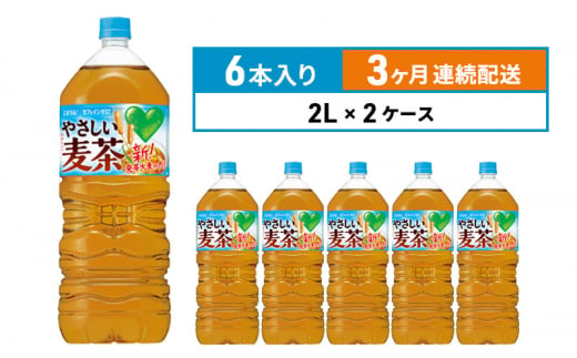 定期便 3ヵ月 麦茶 GREEN DA・KA・RA やさしい麦茶 2L×6本 2箱 ペットボトル 1375300 - 神奈川県綾瀬市