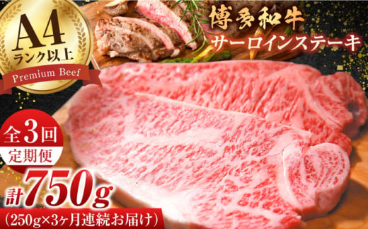 【全3回定期便】【A4ランク以上！】博多和牛サーロインステーキ250g×1枚 牛肉 博多和牛 サーロイン ステーキ 肉 サーロインステーキ 博多 和牛 黒毛和牛 バーベキュー 広川町/株式会社MEAT PLUS [AFBO002] 1528403 - 福岡県広川町