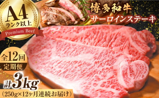 【全12回定期便】【A4ランク以上！】博多和牛 サーロインステーキ250g×1枚 牛肉 博多和牛 サーロイン ステーキ 肉 サーロインステーキ 博多 和牛 黒毛和牛 バーベキュー 広川町/株式会社MEAT PLUS [AFBO004] 1528405 - 福岡県広川町