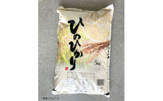 【令和5年産】ヒノヒカリ 10kg 精米 米 お米