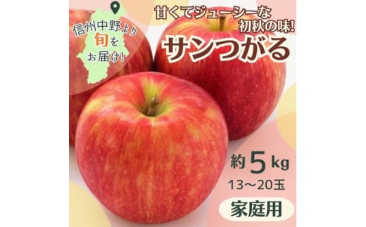 りんご サンつがる 家庭用 約5kg　13～20玉【1516972】 1375222 - 長野県中野市