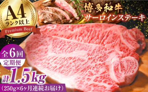 【全6回定期便】【A4ランク以上！】博多和牛 サーロインステーキ250g×1枚 牛肉 博多和牛 サーロイン ステーキ 肉 サーロインステーキ 博多 和牛 黒毛和牛 バーベキュー 広川町/株式会社MEAT PLUS [AFBO003] 1528404 - 福岡県広川町