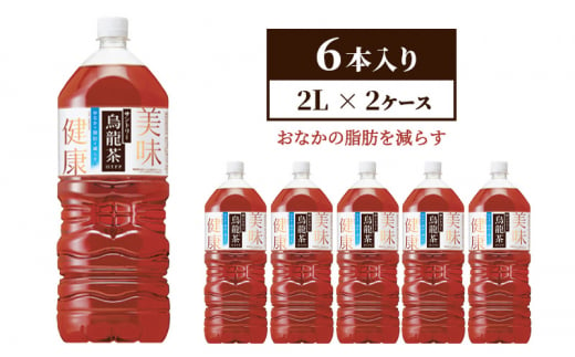 サントリー烏龍茶OTPP（機能性表示食品）2L×6本 2箱 ペットボトル 1375301 - 神奈川県綾瀬市