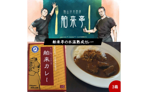 洋食厨房舶来亭で人気の氷温熟成カレーをご自宅で！ 3箱 1373666 - 鳥取県米子市