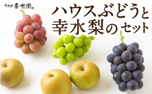 【先行予約】春光園 ハウスぶどうと幸水梨のセット 2025年7月下旬から8月上旬 出荷予定 種なしブドウ 214644 - 福岡県うきは市