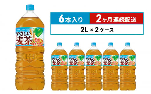 定期便 2ヵ月 麦茶 GREEN DA・KA・RA やさしい麦茶 2L×6本 2箱 ペットボトル 1375299 - 神奈川県綾瀬市