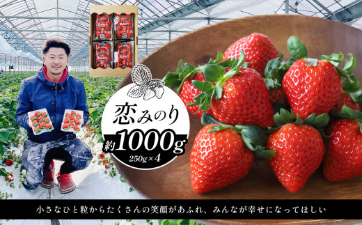 選べる3種類 イチゴ 約1000g 恋みのり | フルーツ 果物 くだもの イチゴ いちご 苺 熊本県 玉名市
