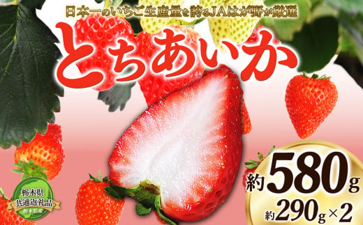 [2025年先行予約]日本一のいちご生産量を誇るJAはが野が厳選とちあいか平パック2P | 送料無料 栃木県 下野市 先行予約 いちご フルーツ 甘い ジューシー かき氷