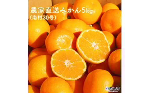 浅井果樹園直送 西宇和産温州みかん 5kg 347018 - 愛媛県西予市