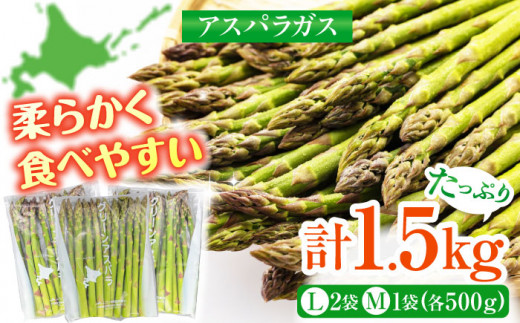  アスパラ 野菜 北海道 春野菜 季節の野菜 先行予約 15000 15000円