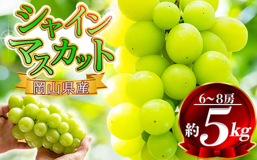 2025年先行予約】岡山県産 シャインマスカット 約5kg前後（6房～9房）訳あり家庭用 優品 / わけあり 岡山 岡山県 晴王 はれおう ハウス  2024年発送 葡萄 ぶどう 果物 くだもの フルーツ 訳あり 700g 1400g 1.2kg以上 1.4kg 5kg 1kg 1房 2.0 2キロ  1房 2房 3房 4房 5房