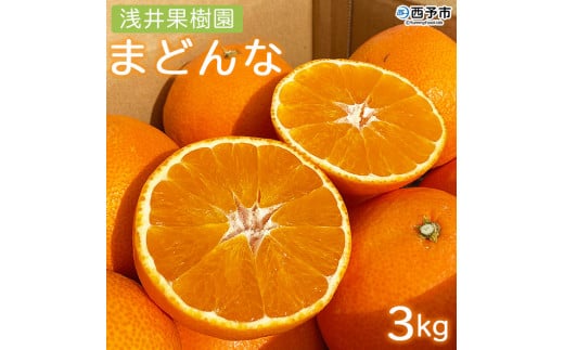 紅まどんなと同品種！＜浅井果樹園直送 まどんな 約3kg（数量限定）西宇和産 ＞ 紅マドンナ 愛媛果試第28号 柑橘 果物 フルーツ オレンジ  食べて応援 特産品 産地直送 西宇和 愛媛県 西予市【常温】 - 愛媛県西予市｜ふるさとチョイス - ふるさと納税サイト