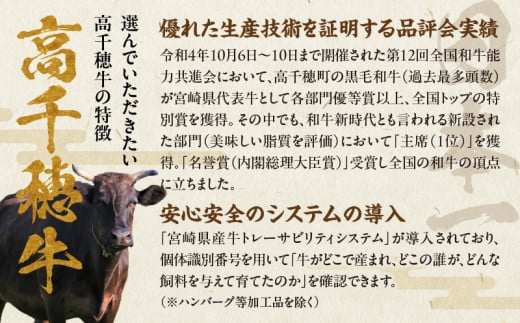 宮崎県産黒毛和牛A4等級以上 高千穂牛ウデスライスすき焼き用 500g A146