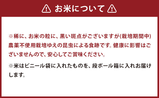 津留いちご園のお米 白米 農薬・化学肥料不使用（栽培期間中） 6kg ヒノヒカリ