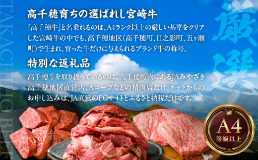 T-5【12ヶ月定期便】 高千穂牛 すね肉 400g×2パック×12回