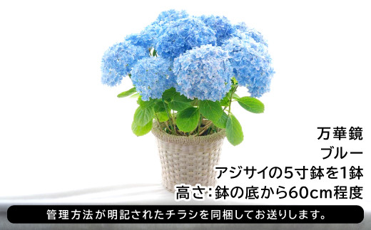 ※管理方法が明記されたチラシを同梱してお送りします。