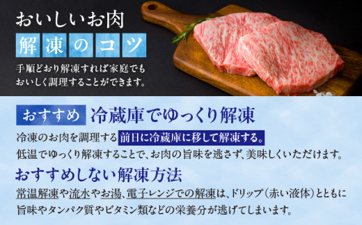 宮崎県高千穂町のふるさと納税 宮崎県産黒毛和牛A4等級以上 高千穂牛サーロインステーキ 250g×2枚 計500g  A1