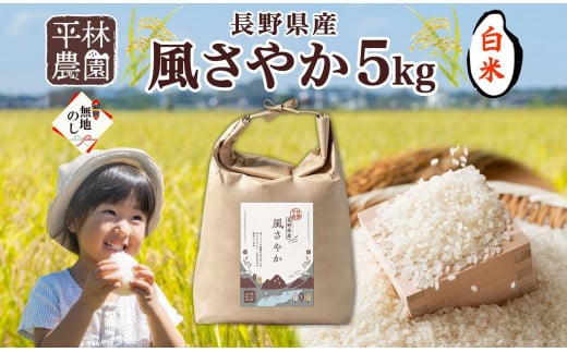 ＜新米予約＞無地熨斗 令和6年産 風さやか 白米 5kg×1袋 長野県産 米 精米 お米 ごはん ライス 甘み 産直 信州 人気 ギフト 平林農園 熨斗 のし 名入れ不可 送料無料 長野県 大町市 1375428 - 長野県大町市