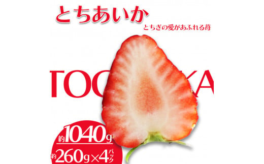 【先行予約】 【3月発送】栃木県共通返礼品  JAうつのみや直送！ とちあいか 260g×4パック  | いちご 甘い 果物 フルーツ デザート 栃木県 下野市 送料無料  1376779 - 栃木県下野市