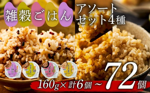 雑穀ごはん アソートセット 4種 160g×72個 十六雑穀 発芽玄米 金のいぶき玄米 もち麦 160g 4種×各18個 44000円 レンジ 健康 栄養 ブレンド ダイエット 美肌 生活習慣 国産 雑穀 簡単調理 無菌 パック 1384136 - 大阪府松原市