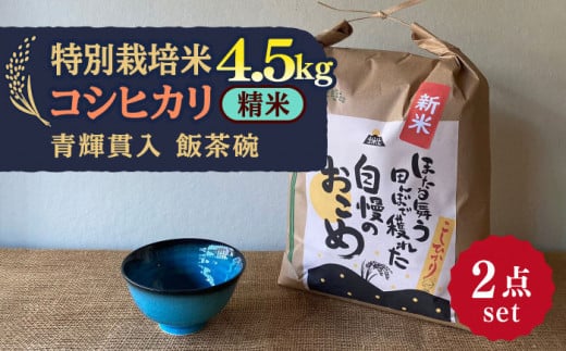 【令和7年産】 精米 コシヒカリ 特別栽培米 （4.5kg） + 【美濃焼】 青輝貫入 飯茶碗 多治見市 / 山松加藤松治郎商店 [TEU035] 1124135 - 岐阜県多治見市