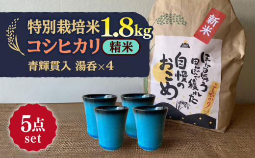 【令和7年産】 精米 コシヒカリ 特別栽培米 （1.8kg）+ 【美濃焼】 青輝貫入 湯呑 （4個） 多治見市 / 山松加藤松治郎商店 [TEU057] 1242122 - 岐阜県多治見市