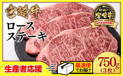 【生産者応援】宮崎牛ロースステーキ3枚 （250g×3枚）牛肉 ステーキ 高級部位 ブランド牛 ミヤチク 内閣総理大臣賞4連覇＜2.2-14＞【最速便】 1293755 - 宮崎県西都市