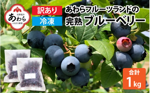 【訳あり】【冷凍】あわらフルーツランドのブルーベリー 1kg 500g×2袋 【完熟】 / フルーツ 果物 くだもの 福井県 あわら市 小分け 便利 たっぷり 完熟 ご当地 国産 おすすめ 1376396 - 福井県あわら市