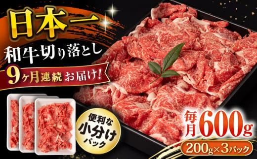 【9回定期便】長崎和牛 切り落とし 600g/月（総計5.4kg） / 牛肉 切り落とし 切りおとし きりおとし すき焼き 小分け / 大村市 / おおむら夢ファームシュシュ [ACAA224] 1376030 - 長崎県大村市