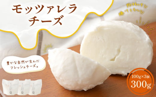 KUMAMOTO モッツァレラ 3個 セット 100g×3個 計300g チーズ モッツァレラチーズ フレッシュ 熊本 国産 生乳