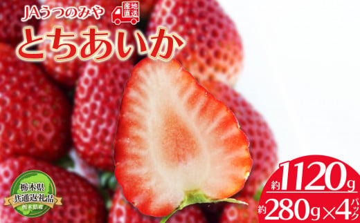 【2025年先行予約】【1月発送予定】  栃木県共通返礼品 JAうつのみや直送！ とちあいか 280g×4パック | いちご 甘い 果物 フルーツ デザート 栃木県 下野市 送料無料  1376766 - 栃木県下野市