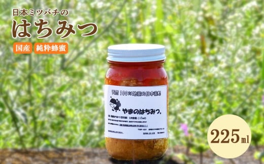 はちみつ 日本蜜蜂の蜂蜜 225ml ハチミツ 日本ミツバチ 百花蜜 天然100％ 国産 九州 宮崎県 パン トースト ヨーグルト