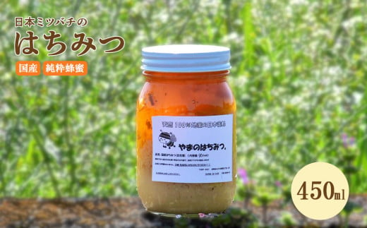 日本蜜蜂の蜂蜜 450ml ハチミツ 日本ミツバチ 百花蜜 天然100％