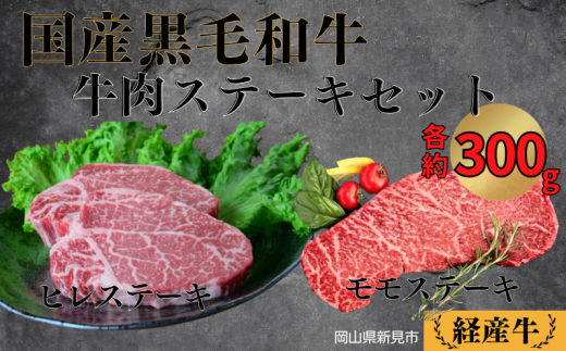 国産 黒毛和牛 いろり牛 経産牛 牛肉ステーキセット (ヒレ約300g＋モモ約300g) 777756 - 岡山県新見市