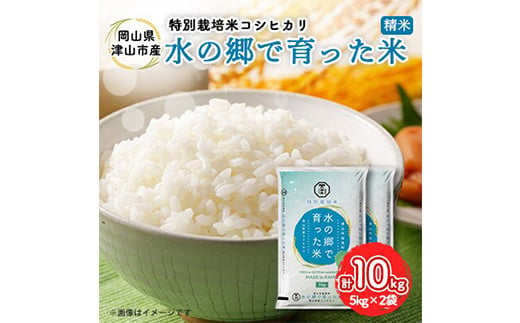 ＜岡山県津山市加茂町産＞水の郷で育った米 10kg 特別栽培米 コシヒカリ TY0-0635 536297 - 岡山県津山市