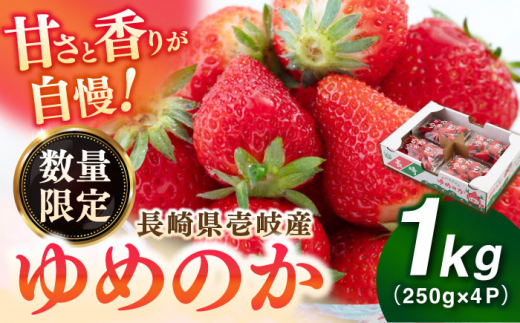 [ポイント交換用][先行予約][2026年3月以降順次発送]壱岐市産 いちご ゆめのか 1kg(250g×4パック)[壱岐市][壱岐市農業協同組合] イチゴ フルーツ 果物 スムージー 完熟 春いちご 先行予約 数量限定 
