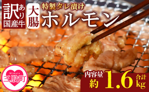 ＜【訳あり】国産牛ホルモン大腸（特製タレ漬け）計1.6kg(400g×4袋)＞大腸を秘伝の特製タレに漬け込みました！【MI024-nk-x1】【中村食肉】 274148 - 宮崎県三股町