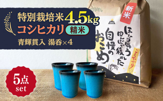【令和7年産】 精米 コシヒカリ 特別栽培米 （4.5kg）+ 【美濃焼】 青輝貫入 湯呑 （4個） 多治見市 / 山松加藤松治郎商店 [TEU059] 1242124 - 岐阜県多治見市