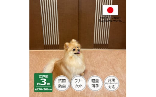 カーペット 日本製 抗菌防臭 犬 猫 ペット対応 ビオラ 176×261cm 江戸間 3畳 ベージュ【1519443】 1411359 - 大阪府和泉市