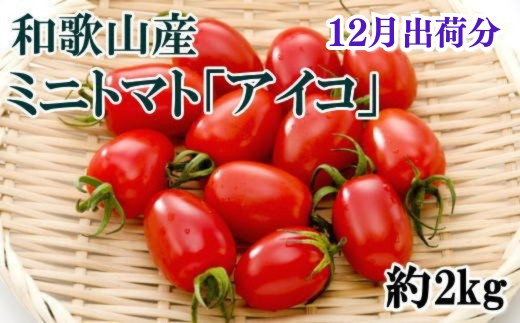 【12月発送】和歌山産ミニトマト「アイコトマト」約2kg（S・Mサイズおまかせ）【tec100-12】 1375456 - 和歌山県古座川町