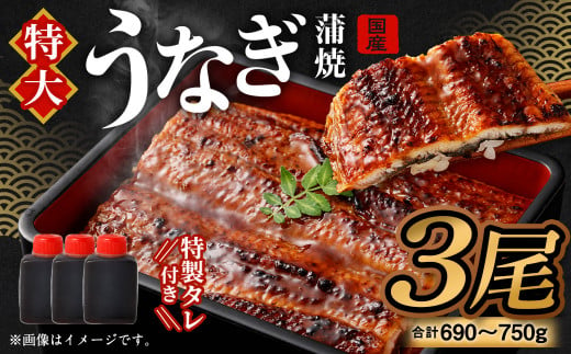 国産うなぎ蒲焼 3尾（690〜750g）と 特製タレ 3個 セット