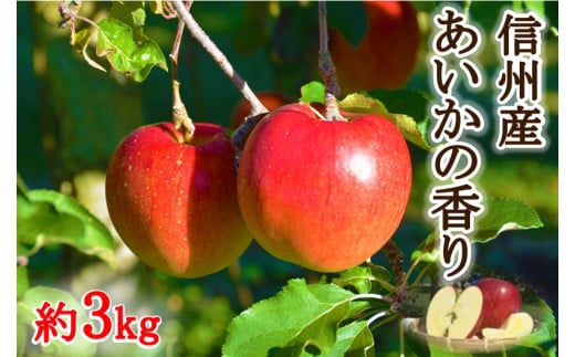 【010-11】幻のりんご　あいかの香り　