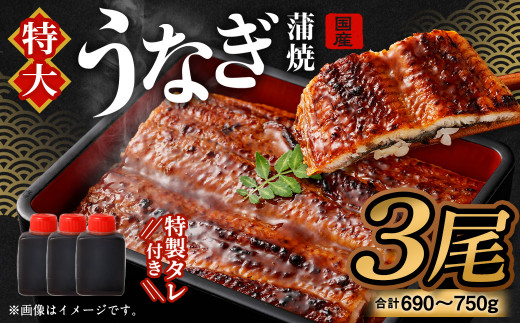 【土用の丑の日に間に合う!】 国産 特大 うなぎ 蒲焼 3尾 (690 ~ 750g) と 特製タレ 3個 セット 鰻 冷凍