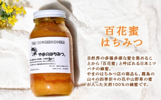 はちみつ 日本蜜蜂の蜂蜜 900ml ハチミツ 蜂蜜 ミツバチ 百花蜜 天然100％ 国産 宮崎 パン トースト ヨーグルト - 宮崎県えびの市｜ ふるさとチョイス - ふるさと納税サイト