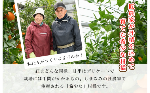 愛媛県今治市のふるさと納税 【ご家庭用】【先行予約】今治産甘平レギュラー箱 ５ｋｇ 【KC00780】