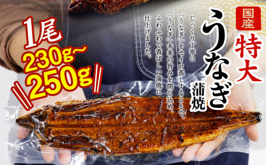 【土用の丑の日に間に合う!】 国産 特大 うなぎ 蒲焼 3尾 (690 ~ 750g) と 特製タレ 3個 セット 鰻 冷凍